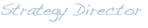 Strategy Director